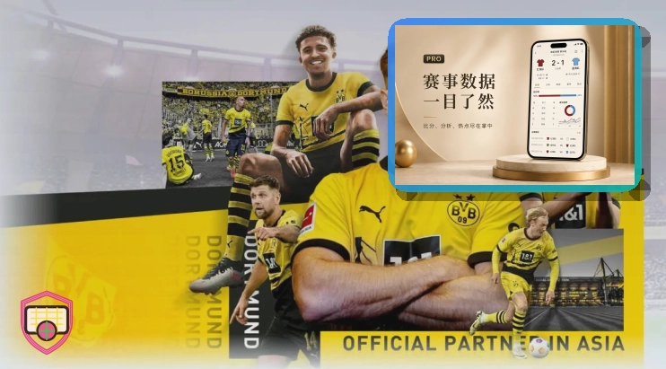 安全使用要点